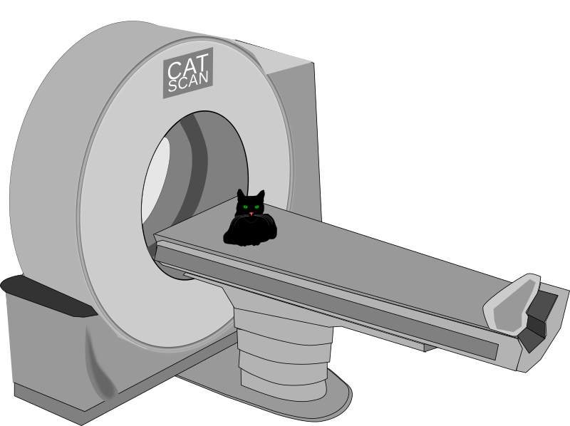 CAT scan