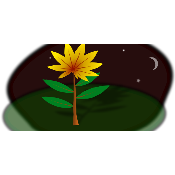 Midnight Flower