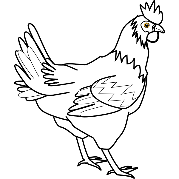 Chicken line art davidone Chicken