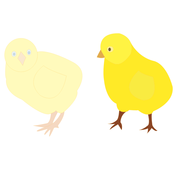 Vector image of two chicks in different shades of yellow