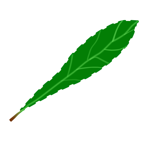 Leaf petal