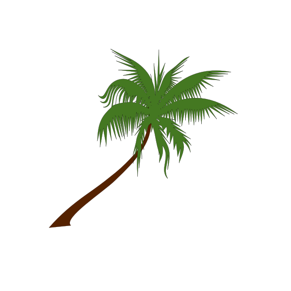 Palm tree