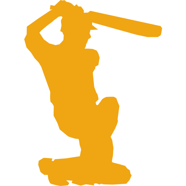 Cricket player silhouette vector image