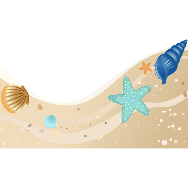 Summer beach with seashells vector image