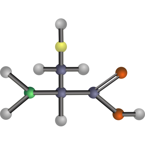 Cysteine (amino acid)