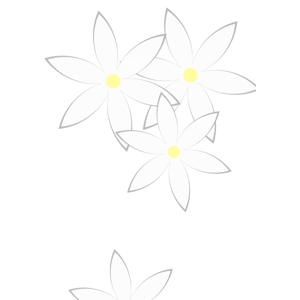 Daisies