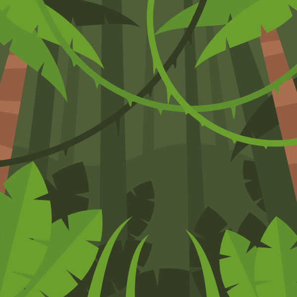 Deep forest landscape