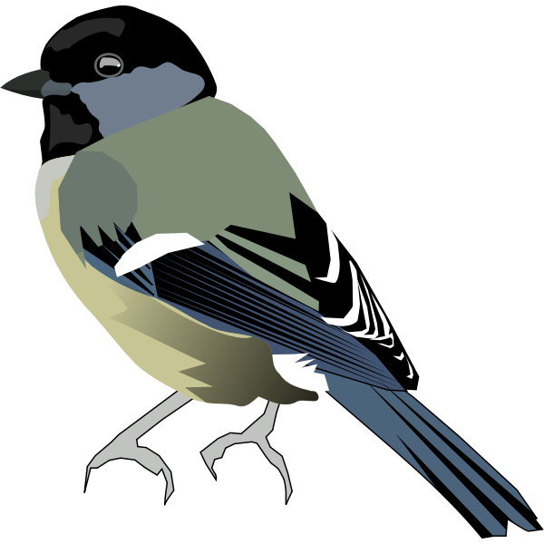 Vector image of colored bird with gray front