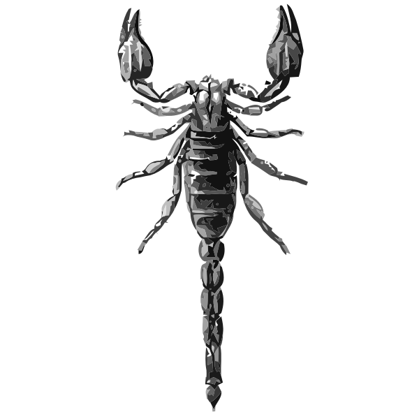 Scorpion grayscale vector drawing