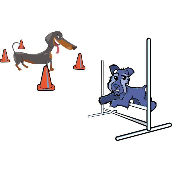 dog agility