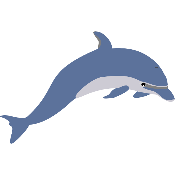 Another dolphin