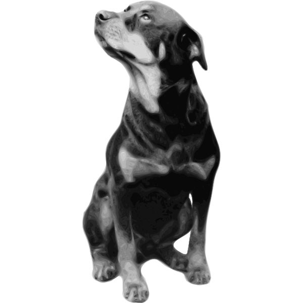 Photorealistic vector drawing of Rottweiler