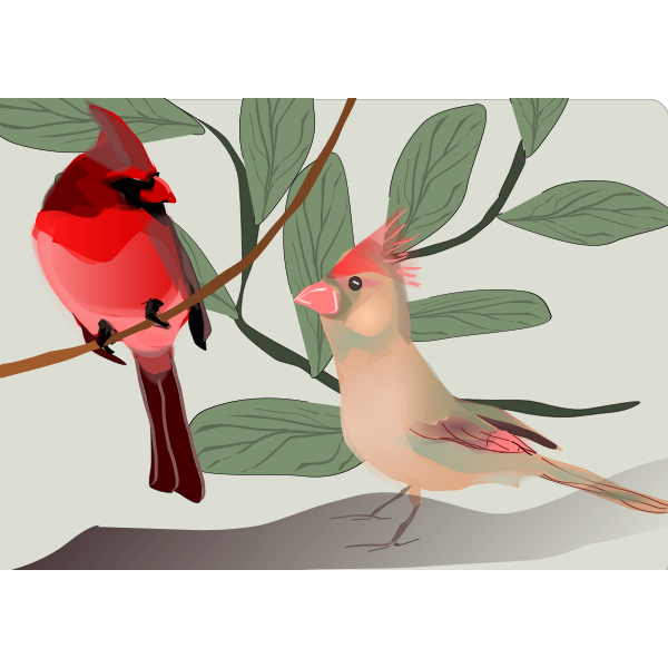 Vector image of colorful sparrows on a tree branch