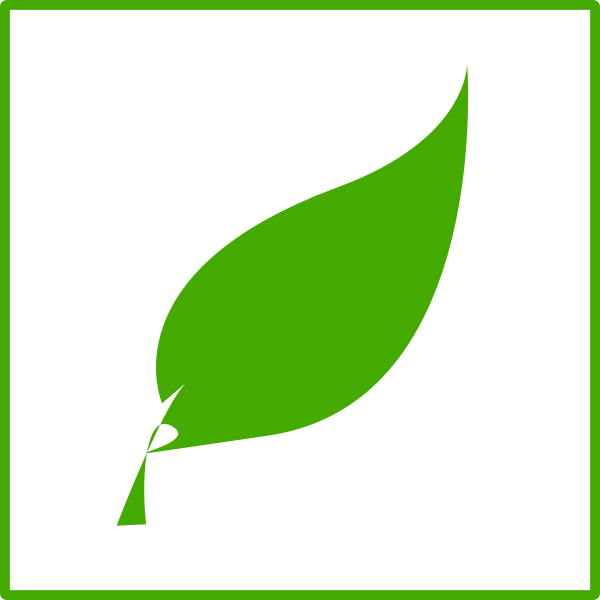 Eco green leaf vector icon