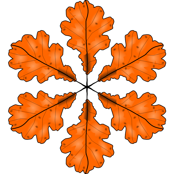 Fall leaf vector illustration