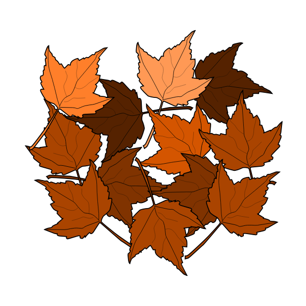 Brown fall leaves vector drawing