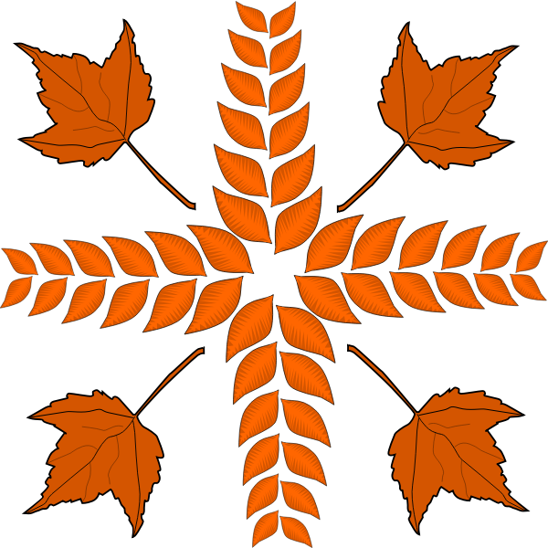 Autumn leaves arrangement vector image