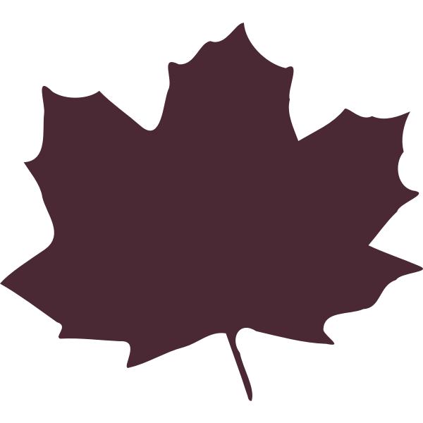 Color maple leaf silhouette vector image