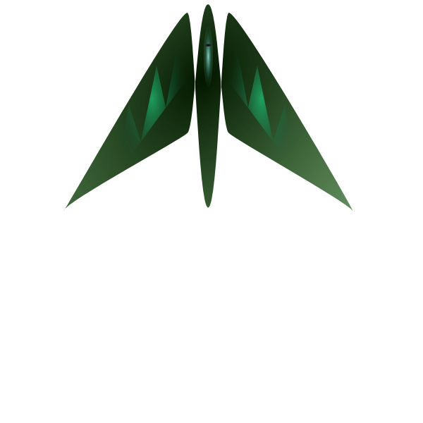 Military jet fighter vector