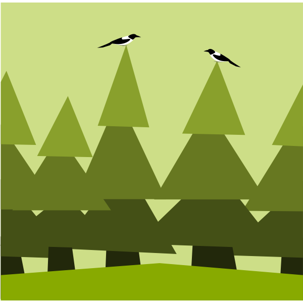 Forest with birds illustration