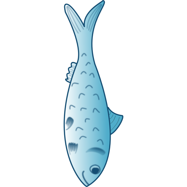 Blue fish vector graphics