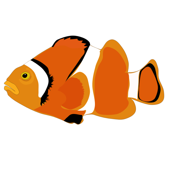 fish cartoon