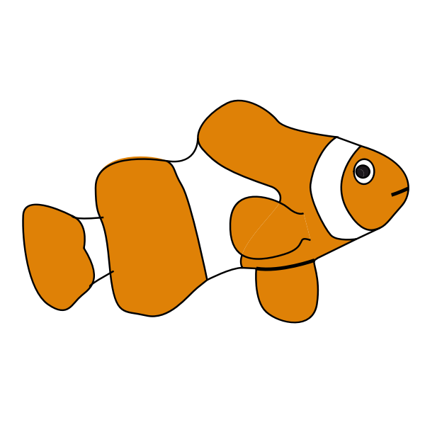 Clown fish