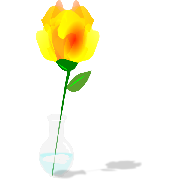 Single yellow rose