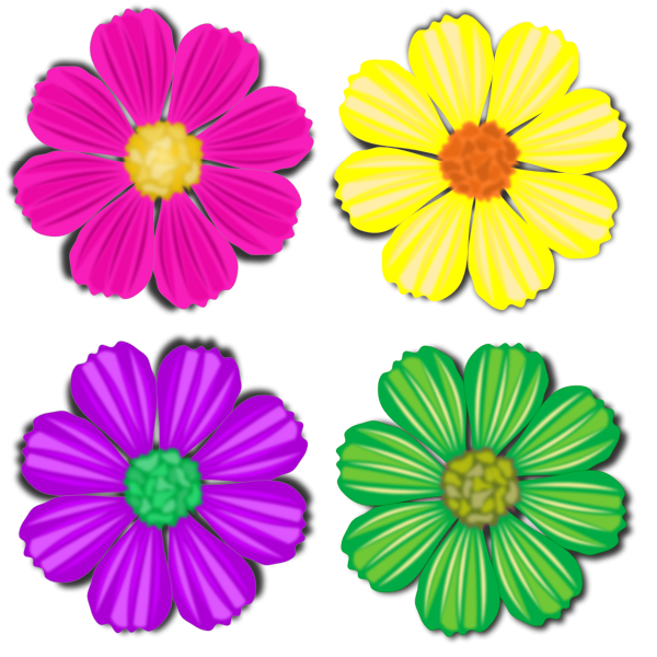 Flowers-1573545641