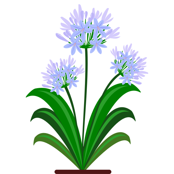 Blue flowers vector image