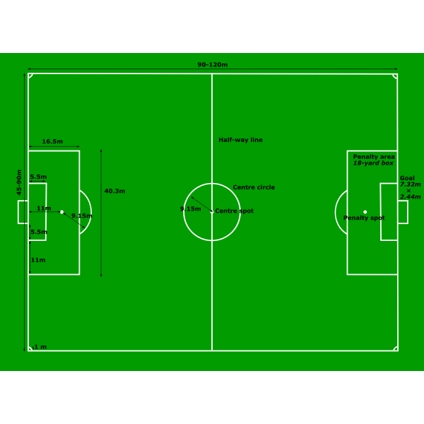 Football Pitch Measurements Vector