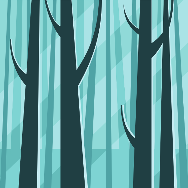 Trees in the forest