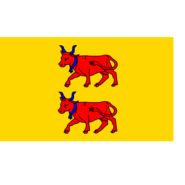 Bearn region flag vector clip art