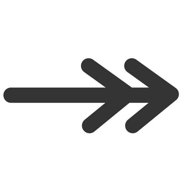 Line double line arrow end icon