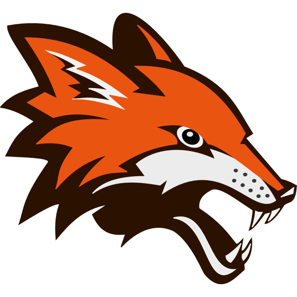 Angry orange fox vector illustration