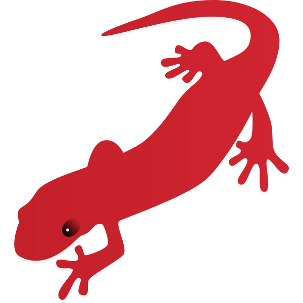 salamander