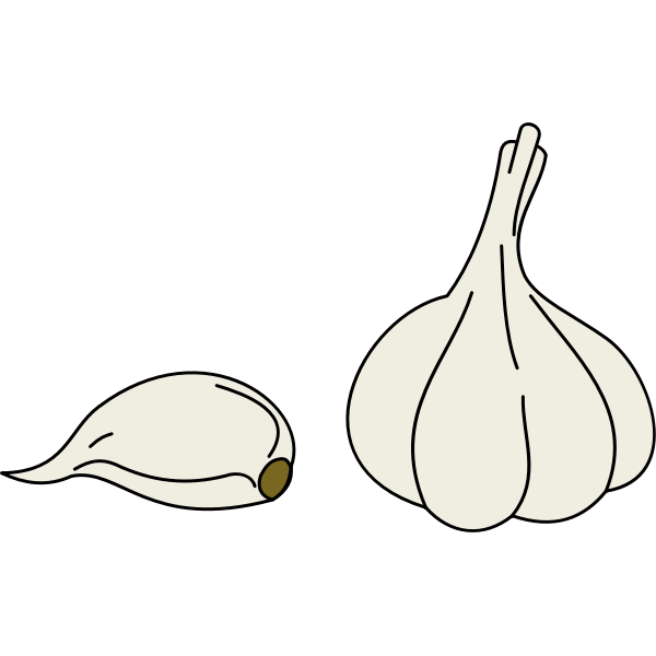 garlic 3092851