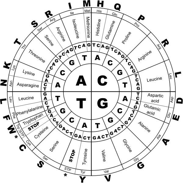 Genetic code BW vector illustration