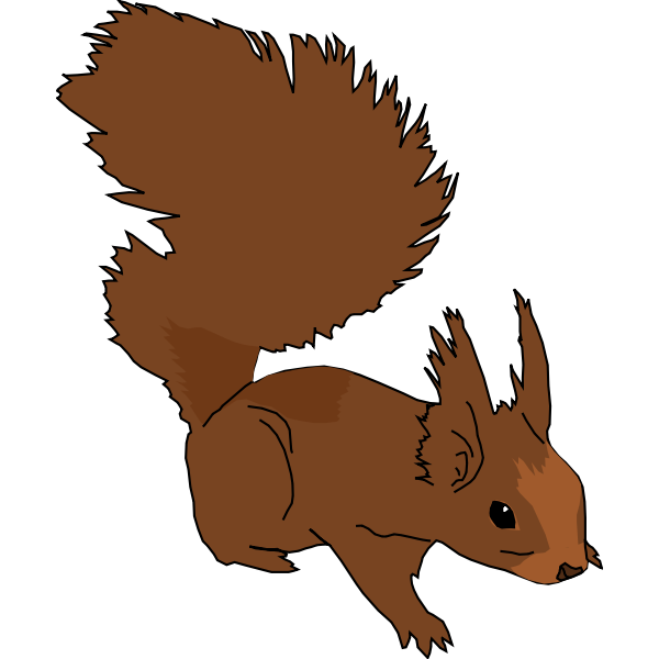 Squirrel