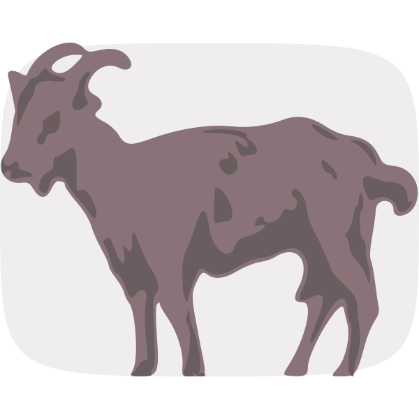 Goat vector image