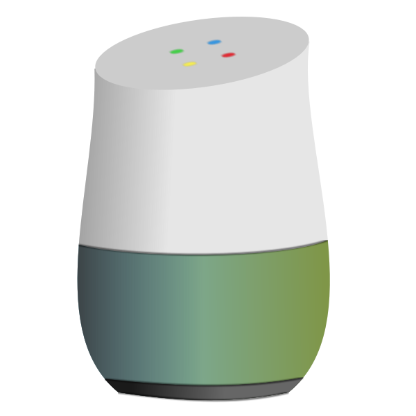 google home