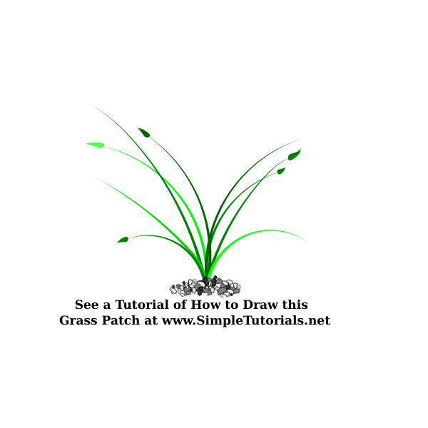 Vector illustration of wide growing grass patch