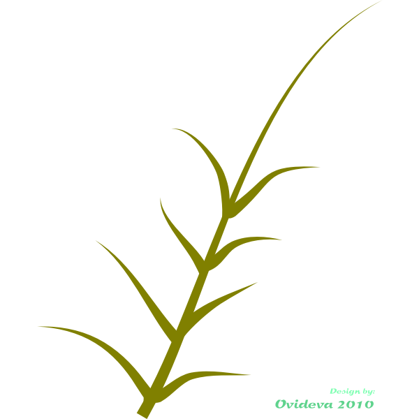 Vector graphics of green plant growing to the side