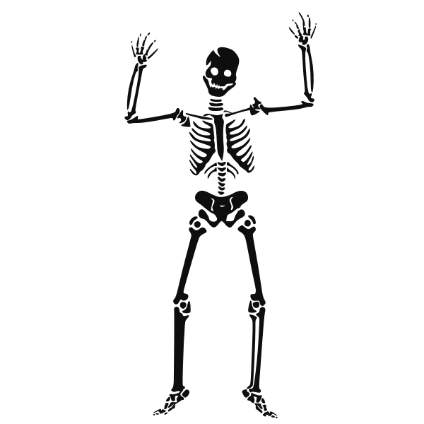 Scary human skeleton vector image