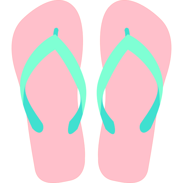 Flipflops vector graphics