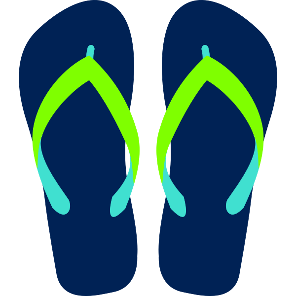 Flipflops vector image