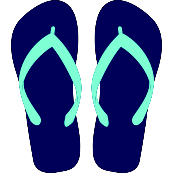 Flipflops vector drawing