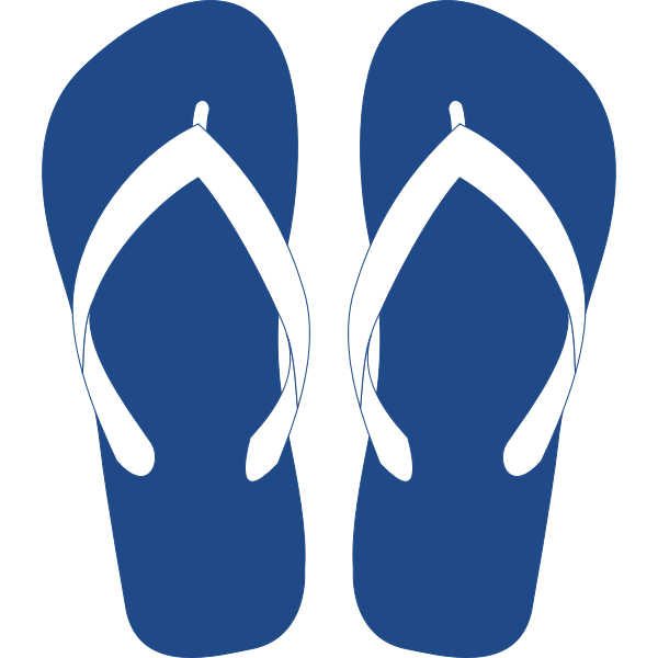 havaianas29