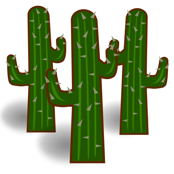 Three cactus