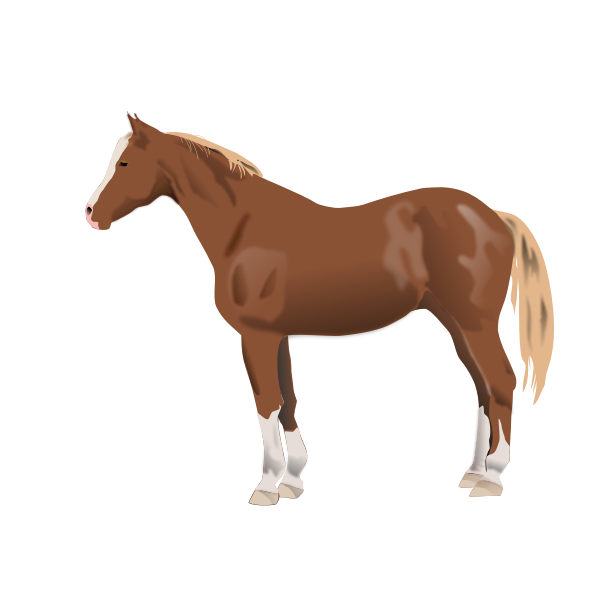 Vector illustration of horse standing